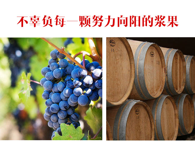 茅台卡佩王赤霞珠干红葡萄酒